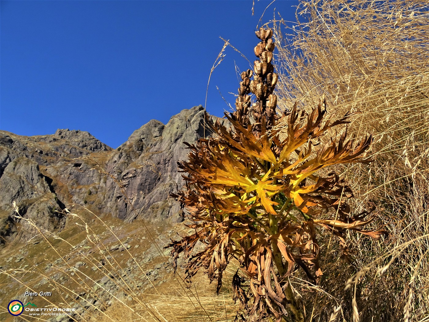 18 Baciato dal sole d'ottobre .JPG